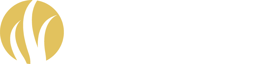 Hair Restoration Institute (HRI) Minnesota